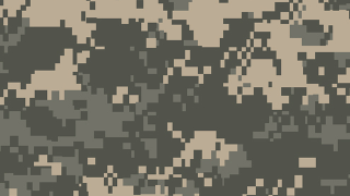 Illustration for article titled The History of Invisibility and the Future of Camouflage